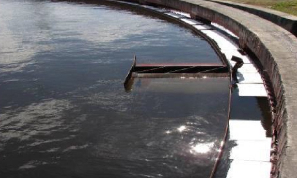 Scorpion Oil Absorbent Pads (200 pcs) 